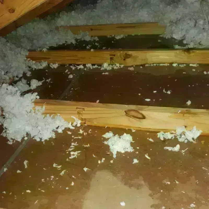 Attic Water Damage in Irwin, SC