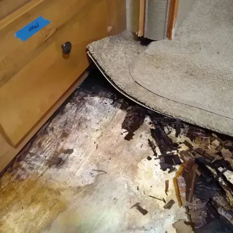 Wood Floor Water Damage in Irwin, SC